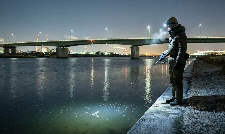 多摩川の冬シーバスの釣り方