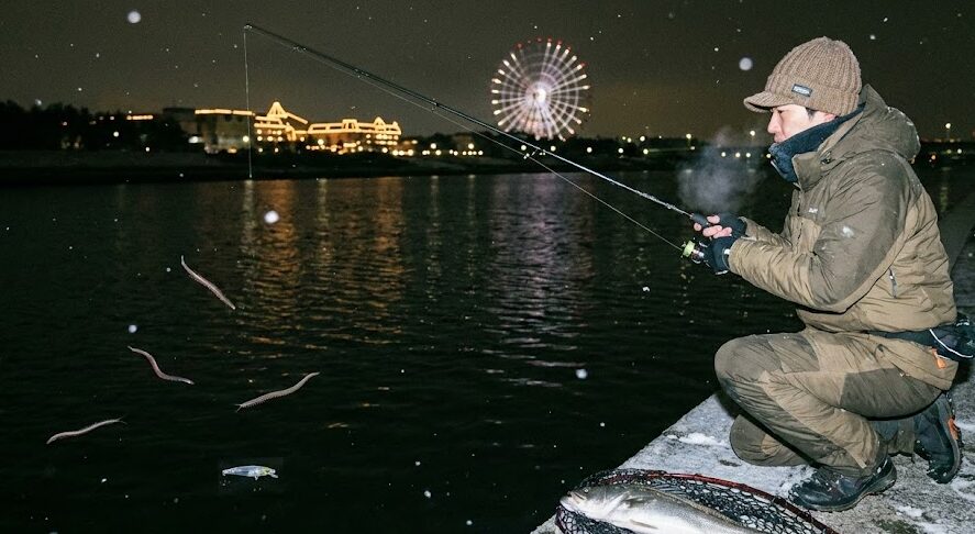 旧江戸川の冬シーバスのポイント